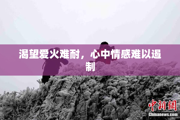 渴望爱火难耐，心中情感难以遏制