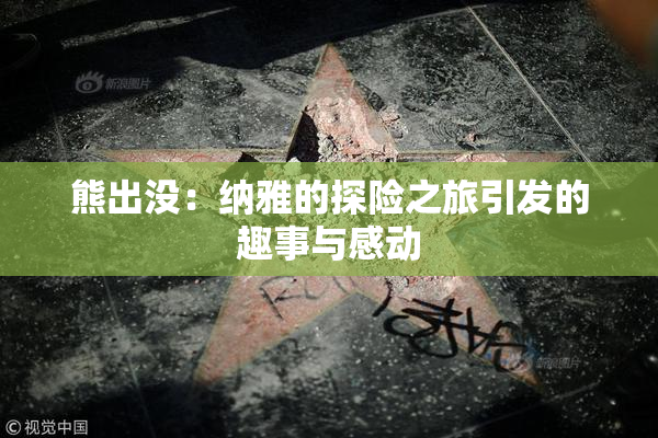 熊出没：纳雅的探险之旅引发的趣事与感动
