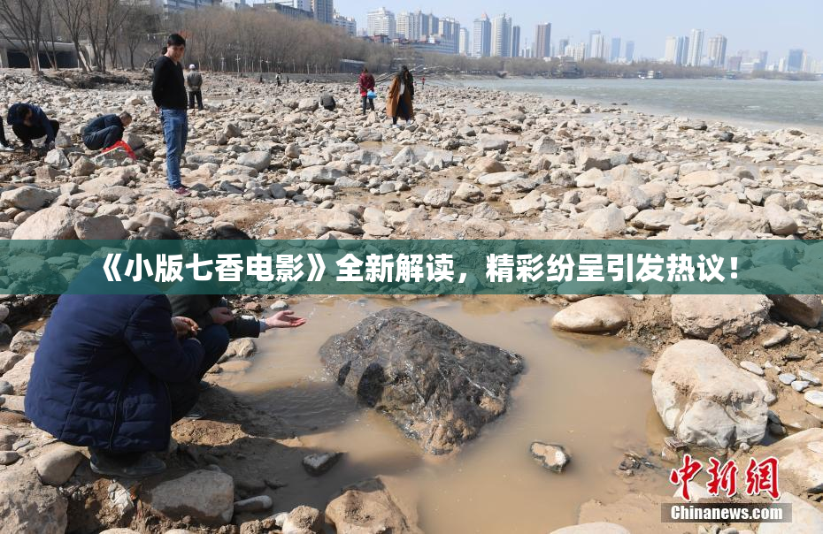《小版七香电影》全新解读，精彩纷呈引发热议！