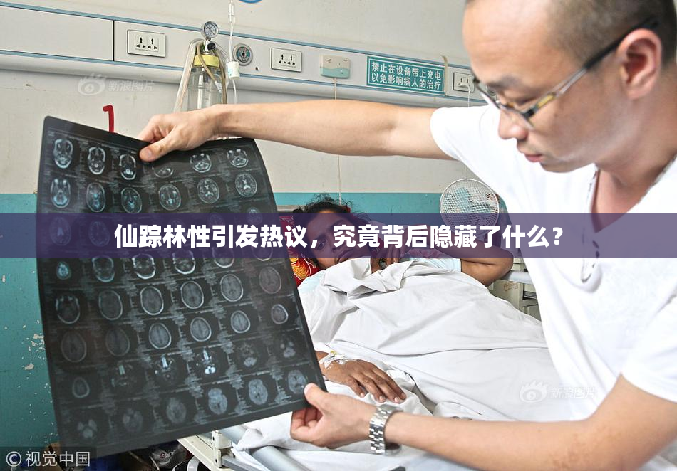 仙踪林性引发热议，究竟背后隐藏了什么？