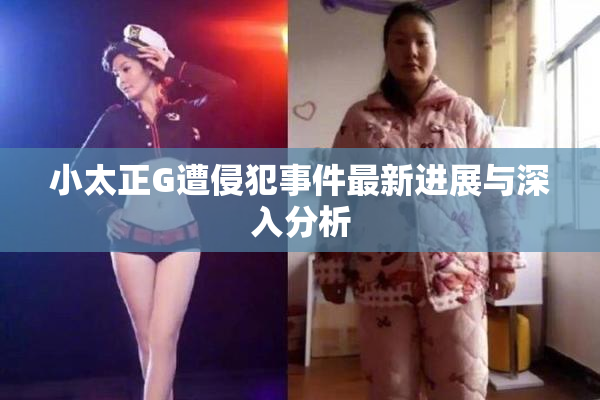 小太正G遭侵犯事件最新进展与深入分析