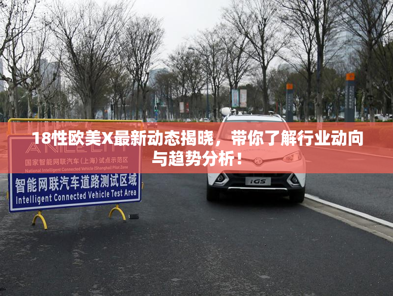 18性欧美X最新动态揭晓，带你了解行业动向与趋势分析！