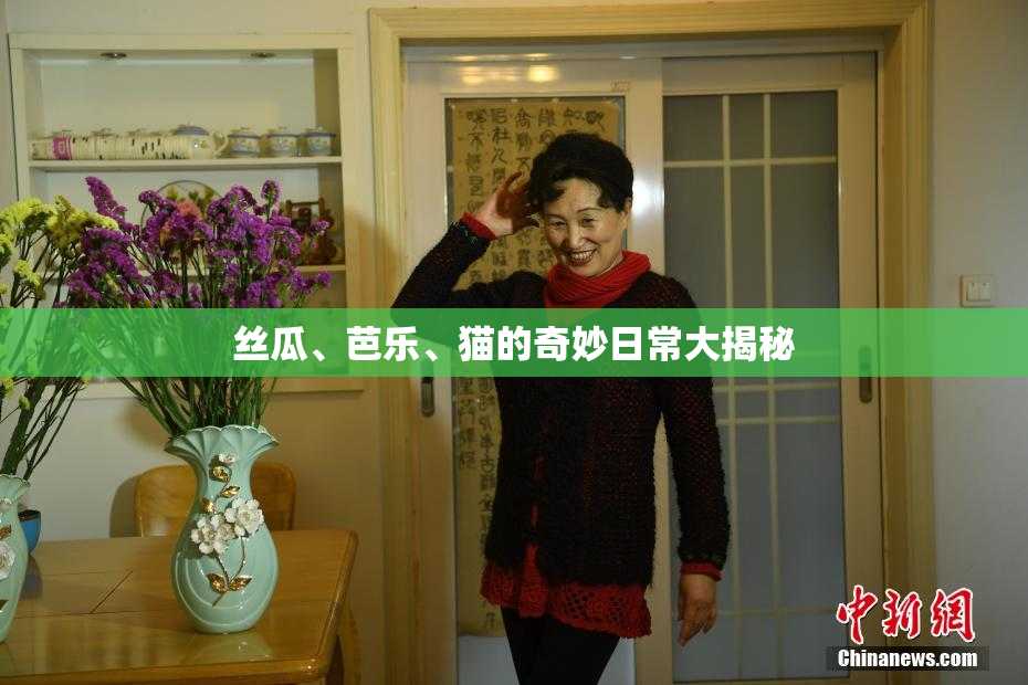 丝瓜、芭乐、猫的奇妙日常大揭秘