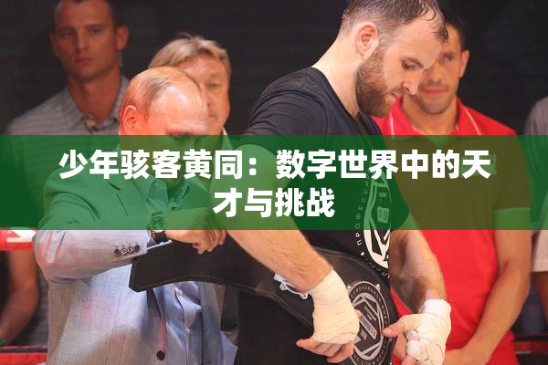 少年骇客黄同：数字世界中的天才与挑战