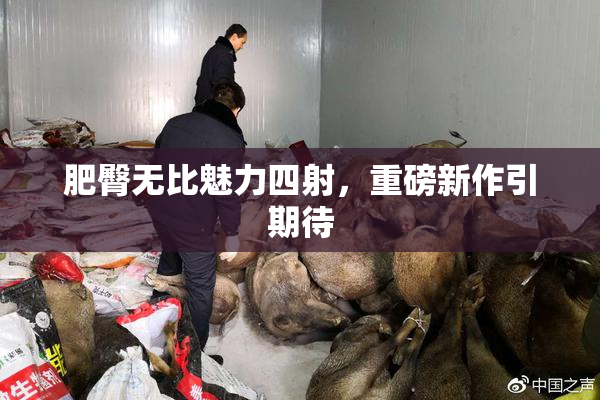 肥臀无比魅力四射，重磅新作引期待