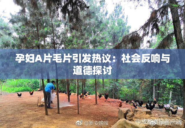 孕妇A片毛片引发热议：社会反响与道德探讨