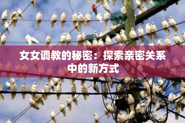女女调教的秘密：探索亲密关系中的新方式