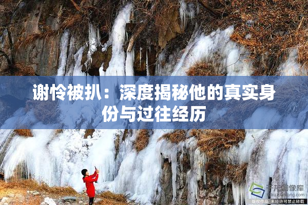 谢怜被扒：深度揭秘他的真实身份与过往经历