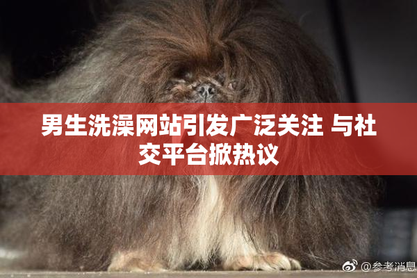 男生洗澡网站引发广泛关注 与社交平台掀热议