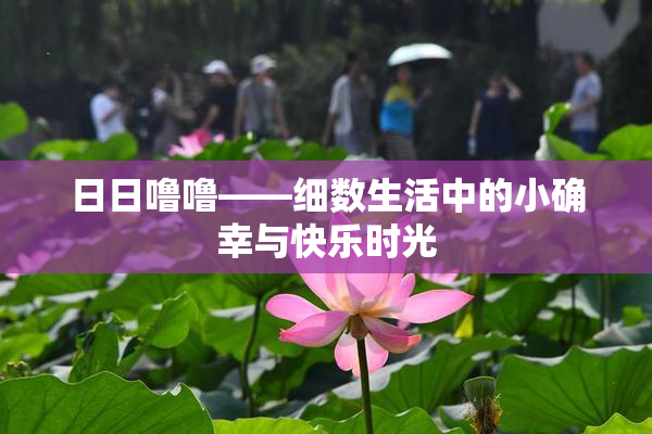 日日噜噜——细数生活中的小确幸与快乐时光