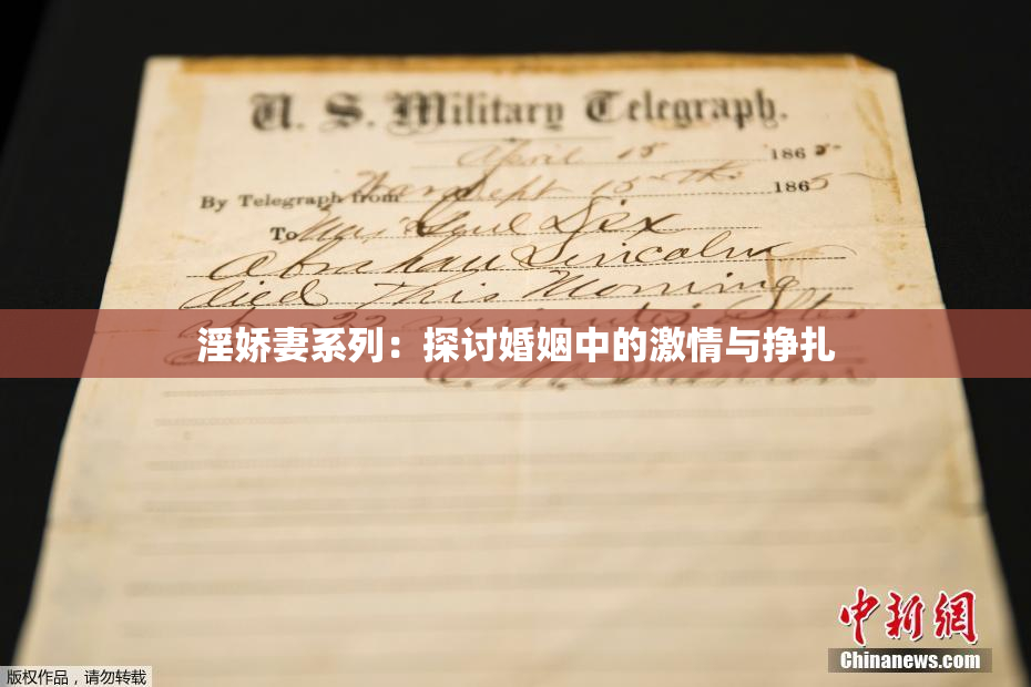 淫娇妻系列：探讨婚姻中的激情与挣扎