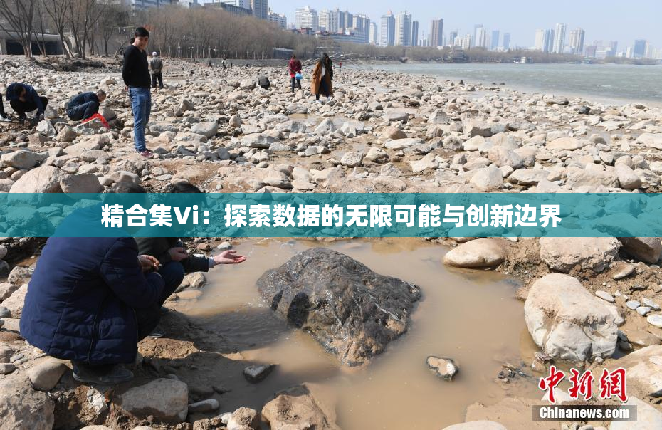 精合集Vi：探索数据的无限可能与创新边界