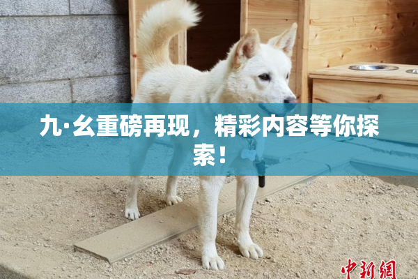 九·幺重磅再现，精彩内容等你探索！