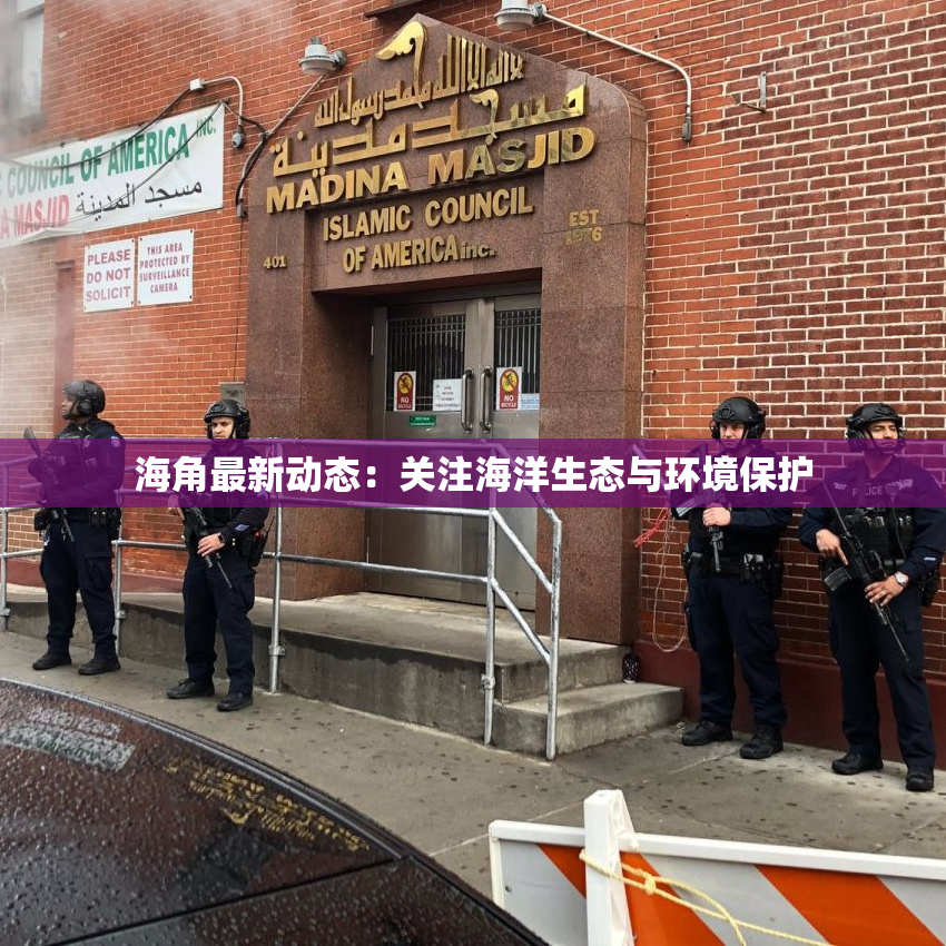 海角最新动态：关注海洋生态与环境保护
