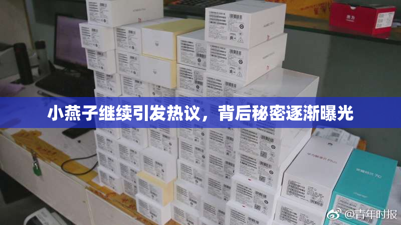 小燕子继续引发热议，背后秘密逐渐曝光