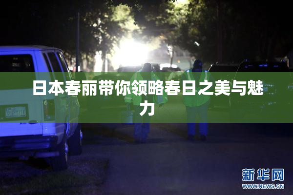 日本春丽带你领略春日之美与魅力