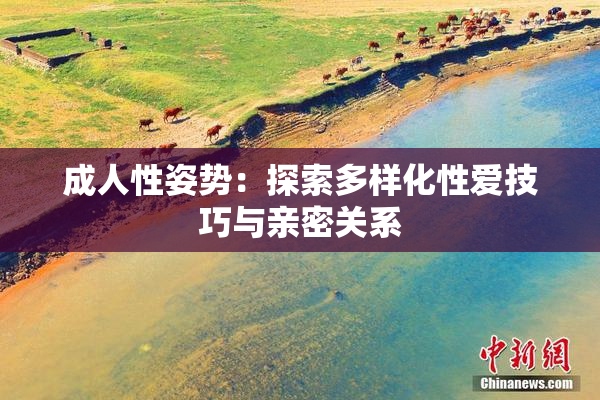 成人性姿势：探索多样化性爱技巧与亲密关系