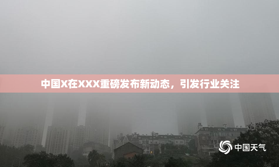 中国X在XXX重磅发布新动态，引发行业关注
