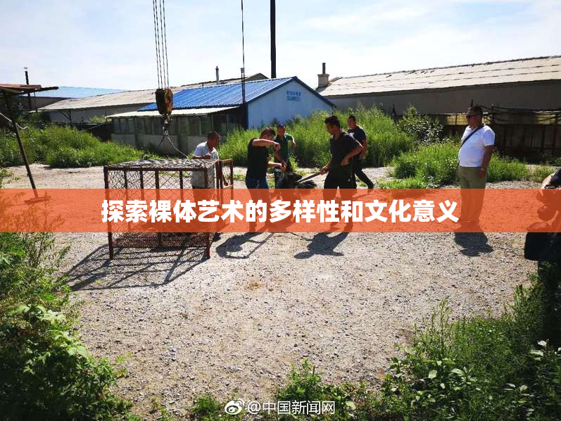 探索裸体艺术的多样性和文化意义