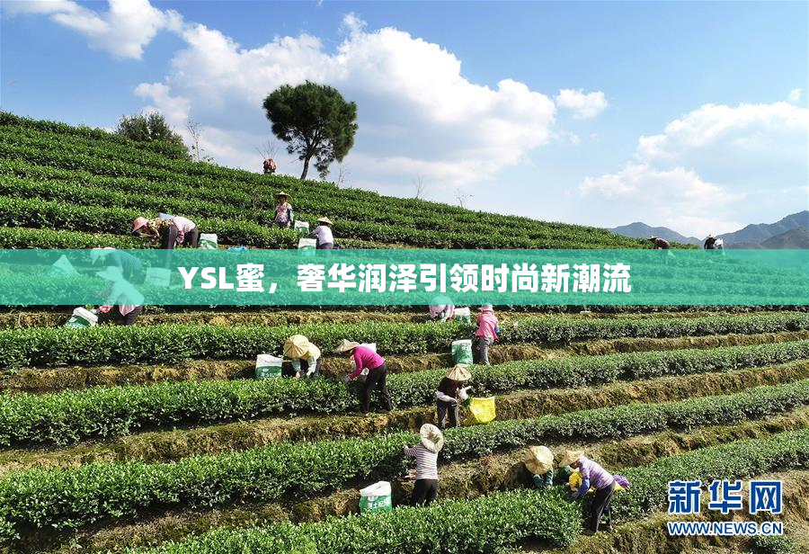 YSL蜜，奢华润泽引领时尚新潮流