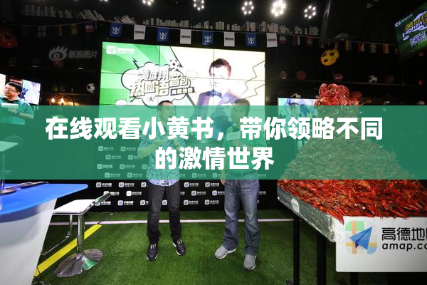 在线观看小黄书，带你领略不同的激情世界