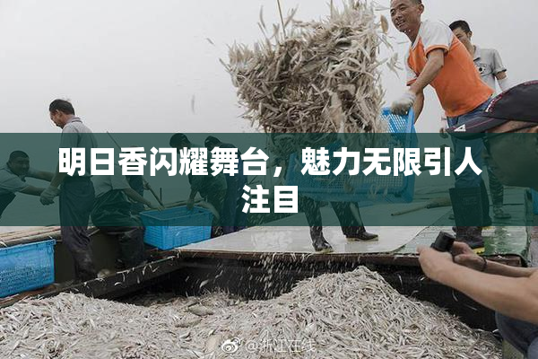 明日香闪耀舞台，魅力无限引人注目