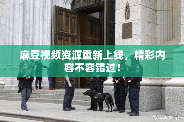麻豆视频资源重新上线，精彩内容不容错过！