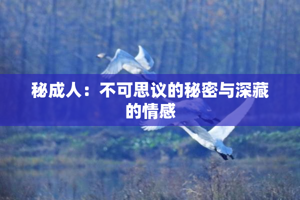 秘成人：不可思议的秘密与深藏的情感