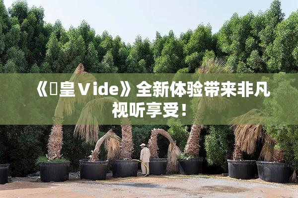 《嘼皇Ⅴide》全新体验带来非凡视听享受！