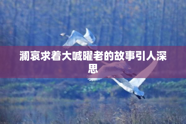 澜哀求着大喊曜老的故事引人深思