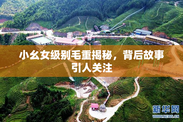 小幺女级别毛重揭秘，背后故事引人关注
