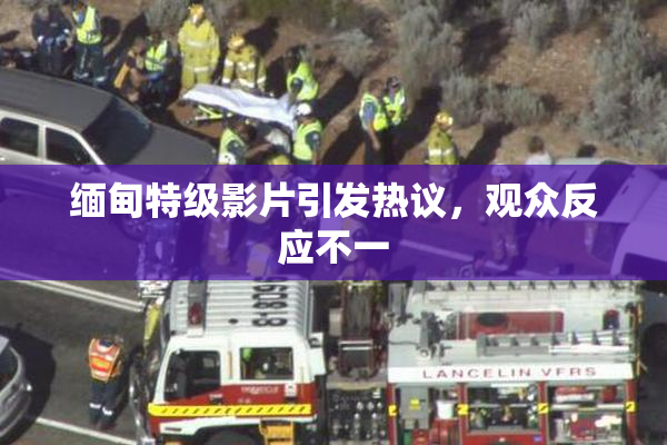 缅甸特级影片引发热议，观众反应不一