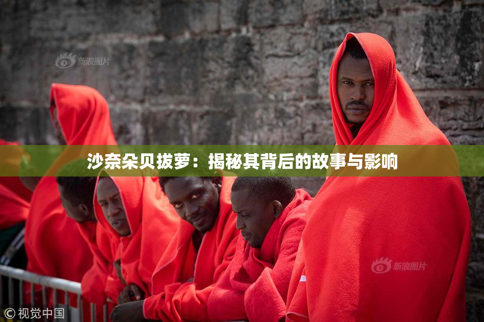 沙奈朵贝拔萝：揭秘其背后的故事与影响