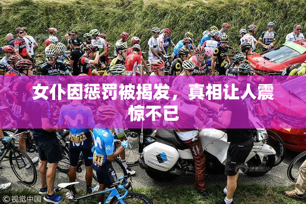 女仆因惩罚被揭发，真相让人震惊不已