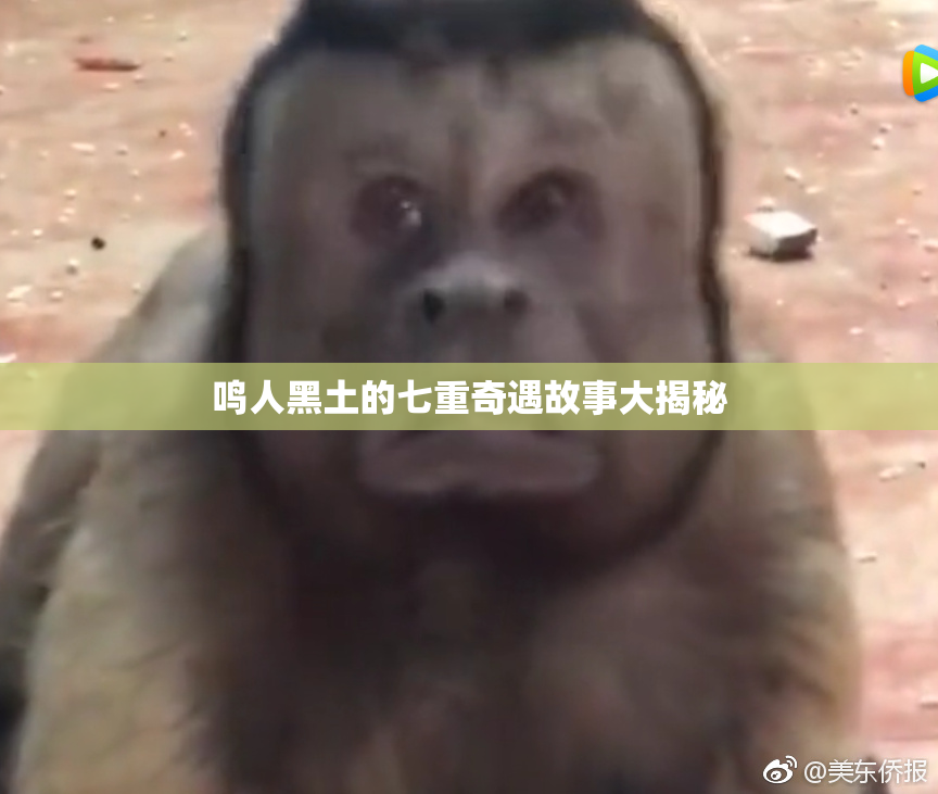 鸣人黑土的七重奇遇故事大揭秘