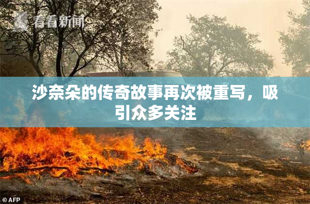 沙奈朵的传奇故事再次被重写，吸引众多关注