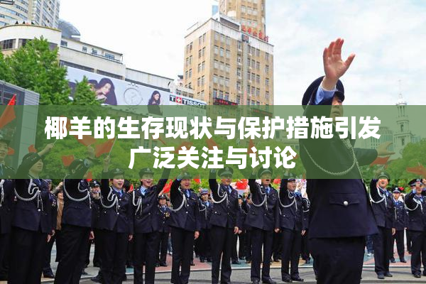 椰羊的生存现状与保护措施引发广泛关注与讨论