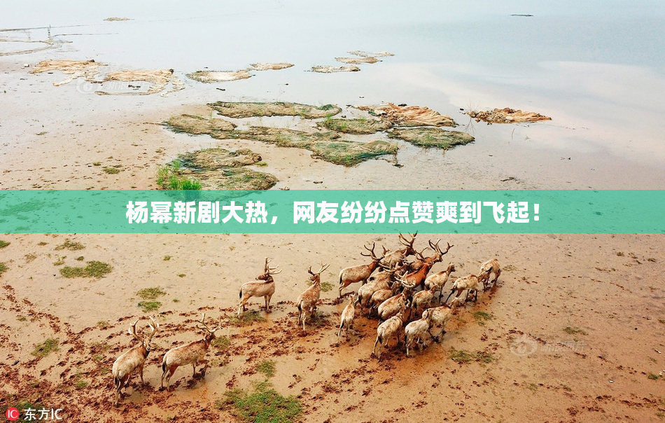杨幂新剧大热，网友纷纷点赞爽到飞起！
