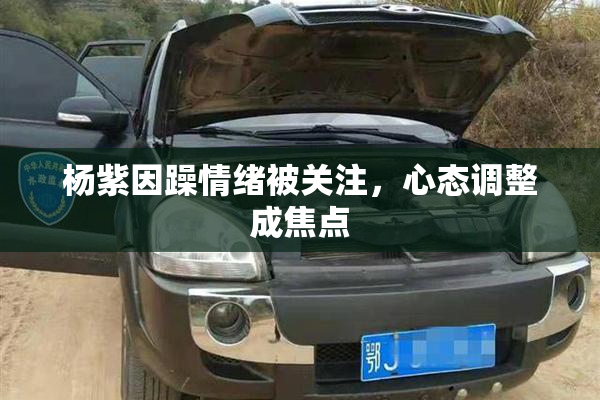 杨紫因躁情绪被关注，心态调整成焦点