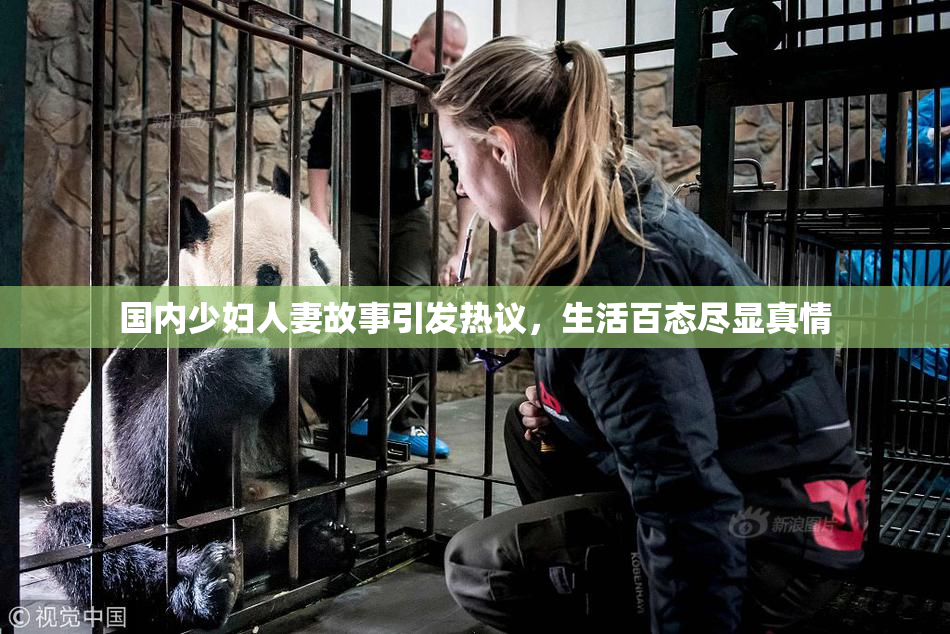 国内少妇人妻故事引发热议，生活百态尽显真情