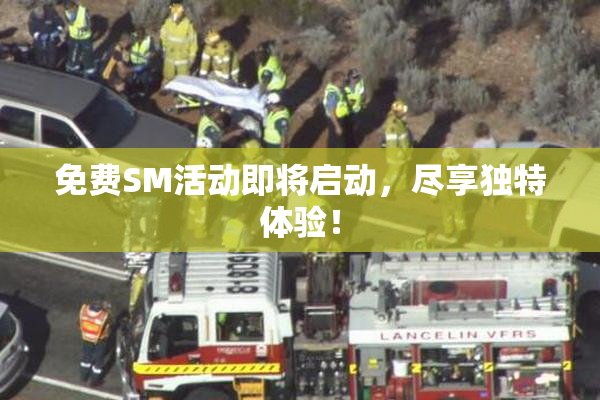 免费SM活动即将启动，尽享独特体验！