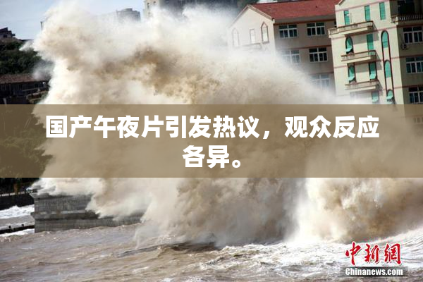 国产午夜片引发热议，观众反应各异。