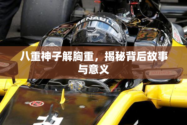八重神子解胸重，揭秘背后故事与意义