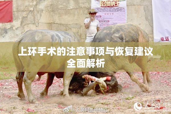 上环手术的注意事项与恢复建议全面解析