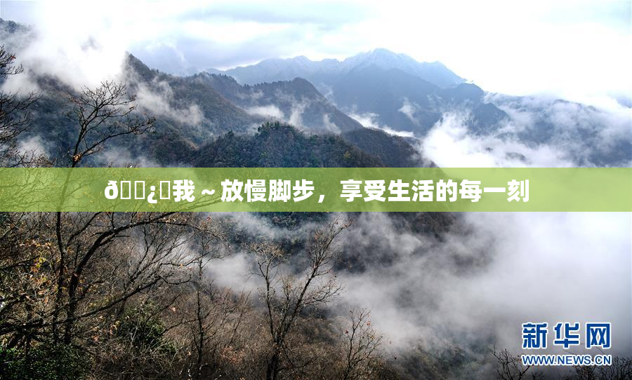 🌿‌我～放慢脚步，享受生活的每一刻