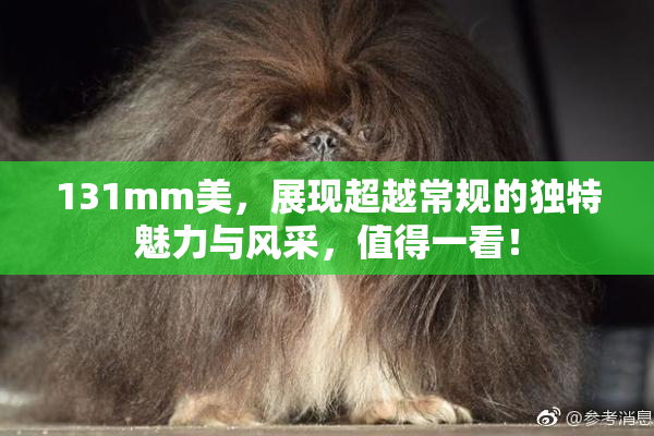 131mm美，展现超越常规的独特魅力与风采，值得一看！