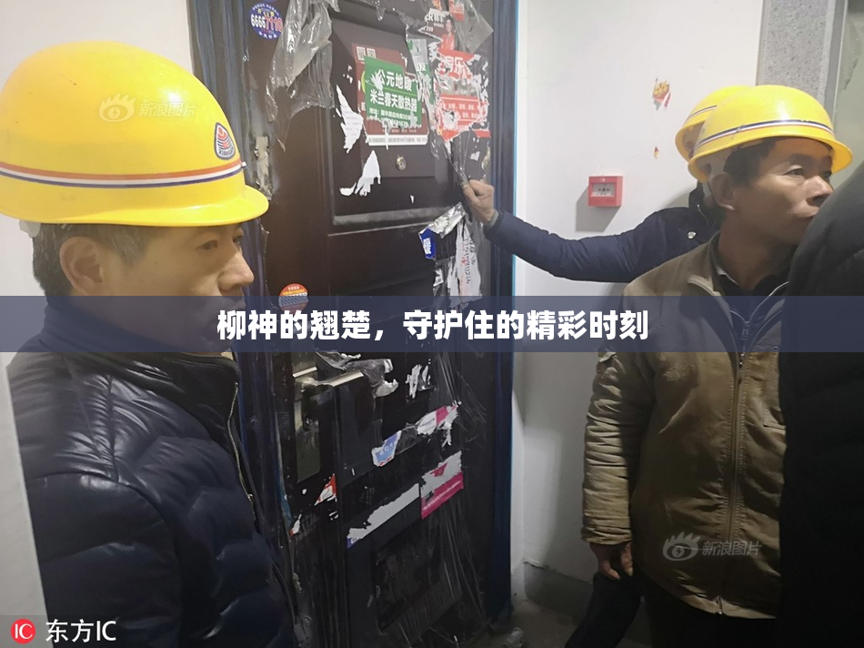柳神的翘楚，守护住的精彩时刻