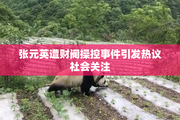 张元英遭财阀操控事件引发热议社会关注