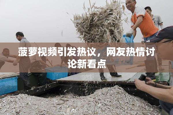 菠萝视频引发热议，网友热情讨论新看点