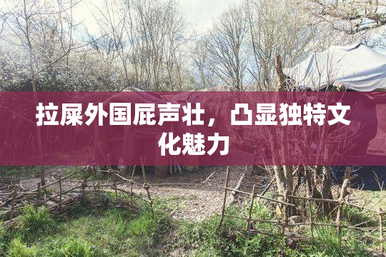 拉屎外国屁声壮，凸显独特文化魅力